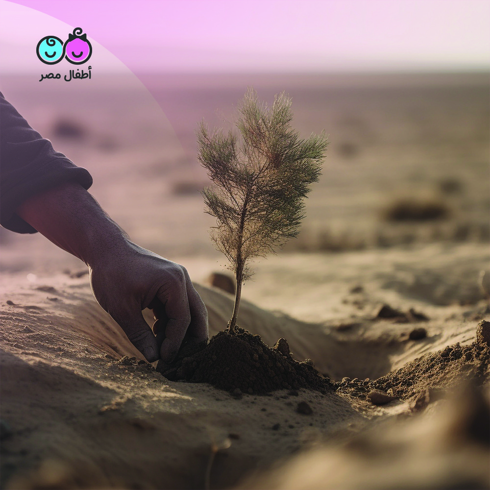 100 X5 Tree Planting Initiative